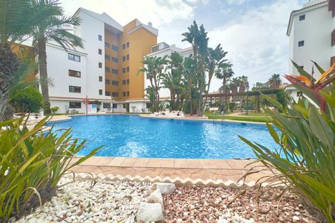 Leilighet i Torrevieja, Alicante, Torrevieja - € 330 000 | Ref: 772159 - foto 34