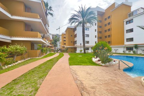 Leilighet i Torrevieja, Alicante, Torrevieja - € 330 000 | Ref: 772159 - foto 36