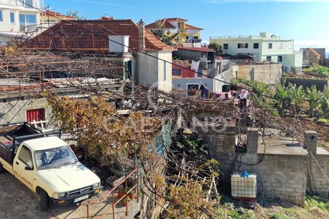 Tomt i Ponta do Sol, Madeira, Ponta do Sol - € 880 000 | Ref: 3289 - foto 3