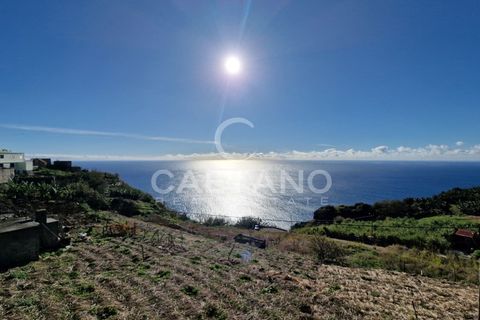 Tomt i Ponta do Sol, Madeira, Ponta do Sol - € 880 000 | Ref: 3289 - foto 4