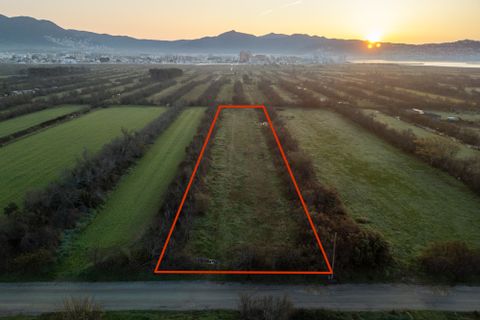 Helårsgrund i Empuriabrava, Gerona, Empuriabrava - € 17.000 | Ref: W-0492PT - foto 1