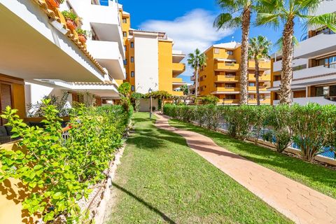 Apartament a Punta Prima, Alicante, Punta Prima - € 260.000 | Ref: 3-11784/75720 - foto 36