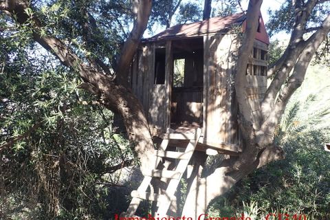 Cortijo i Melicena, Granada, Melicena - € 350.000 | Ref: CJ340 - foto 43