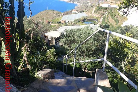 Cortijo i Melicena, Granada, Melicena - € 350.000 | Ref: CJ340 - foto 3