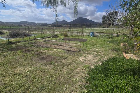 Landejendom i Sax, Alicante, Sax - € 230.000 | Ref: Good life - foto 5