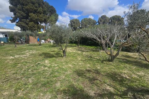 Landejendom i Sax, Alicante, Sax - € 230.000 | Ref: Good life - foto 16