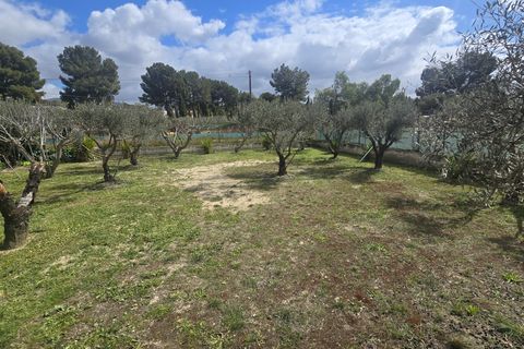 Landejendom i Sax, Alicante, Sax - € 230.000 | Ref: Good life - foto 9