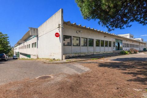 Erhvervsejendom i Carnaxide, Lisbon, Carnaxide - € 20.000.000 | Ref: MN164 - foto 16