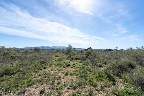 Finca i Ulldecona, Tarragona, Ulldecona - € 18.000 | Ref: 344 - foto 11