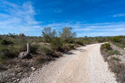 Finca i Ulldecona, Tarragona, Ulldecona - € 18.000 | Ref: 344 - foto 14