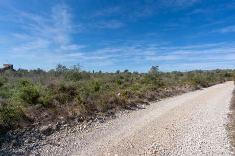 Finca i Ulldecona, Tarragona, Ulldecona - € 18.000 | Ref: 344 - foto 15