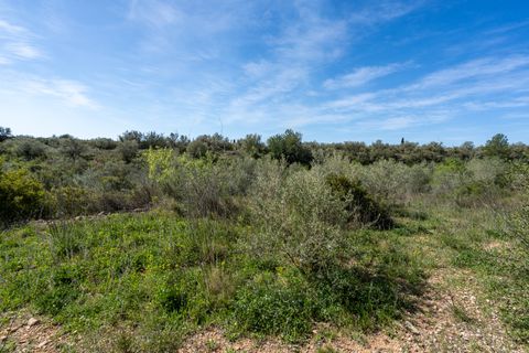 Finca i Ulldecona, Tarragona, Ulldecona - € 18.000 | Ref: 344 - foto 6