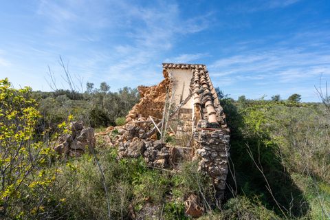 Finca i Ulldecona, Tarragona, Ulldecona - € 18.000 | Ref: 344 - foto 3