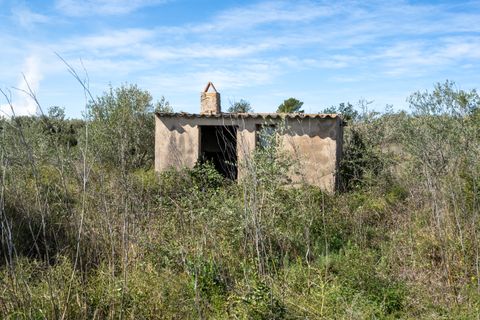 Finca i Ulldecona, Tarragona, Ulldecona - € 18.000 | Ref: 344 - foto 10