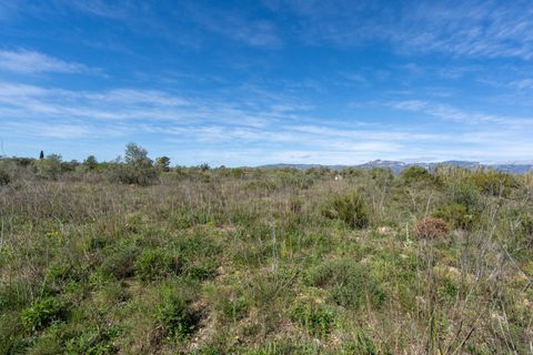 Finca i Ulldecona, Tarragona, Ulldecona - € 18.000 | Ref: 344 - foto 7
