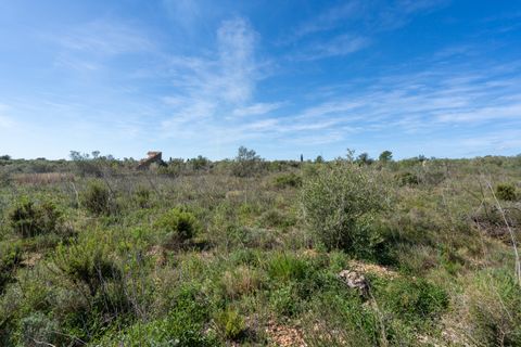 Finca i Ulldecona, Tarragona, Ulldecona - € 18.000 | Ref: 344 - foto 12
