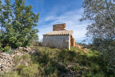 Finca i Ulldecona, Tarragona, Ulldecona - € 18.000 | Ref: 344 - foto 2