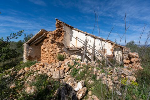 Finca i Ulldecona, Tarragona, Ulldecona - € 18.000 | Ref: 344 - foto 5