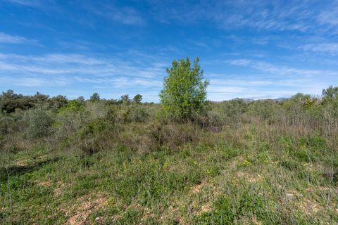 Finca i Ulldecona, Tarragona, Ulldecona - € 18.000 | Ref: 344 - foto 13