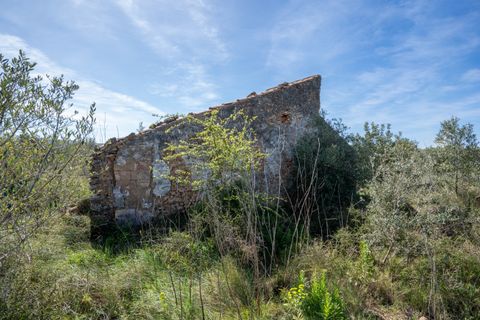 Finca i Ulldecona, Tarragona, Ulldecona - € 18.000 | Ref: 344 - foto 8