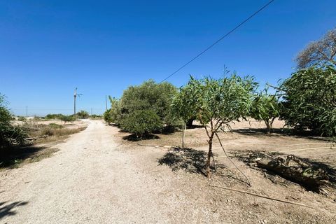 Villa i Elche, Alicante, Elche - € 279.900 | Ref: EB372 - foto 8