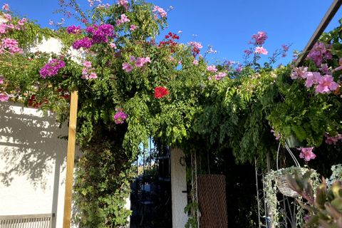 Villa i Javea, Alicante, Javea - € 695.000 | Ref: HPS10435 - foto 21