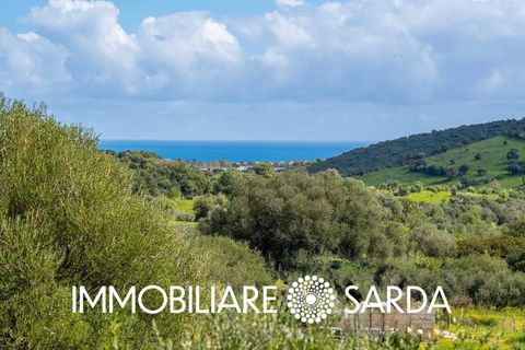 Villa a San Teodoro, Sassari, San Teodoro - € 360.000 | Ref: STI-01-26 - foto 20