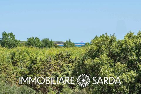 Lejlighed i Budoni, Sassari, Budoni - € 440.000 | Ref: BUI-01-25 - foto 28