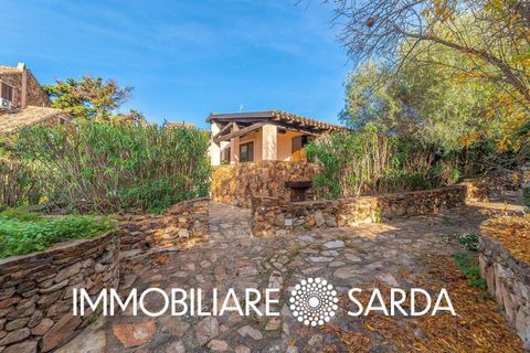 Villa i Golfo Aranci, Olbia Tempio, Golfo Aranci - € 540.000 | Ref: GAI-04-25 - foto 37