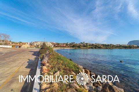 Villa i Golfo Aranci, Olbia Tempio, Golfo Aranci - € 540.000 | Ref: GAI-04-25 - foto 49