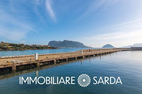 Villa i Golfo Aranci, Olbia Tempio, Golfo Aranci - € 540.000 | Ref: GAI-04-25 - foto 50