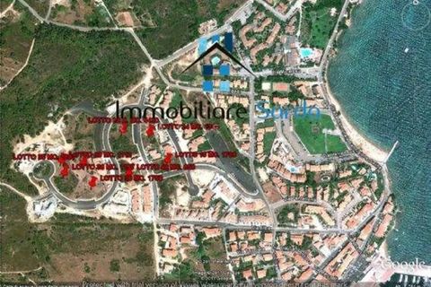 Terra a Arzachena, Sassari, Arzachena - € 950.000 | Ref: 04AR-CAN-TER35-GP - foto 15