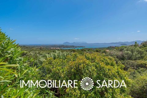 Villa i Arzachena, Sassari, Arzachena - € 1.850.000 | Ref: ARI-08-25 - foto 30