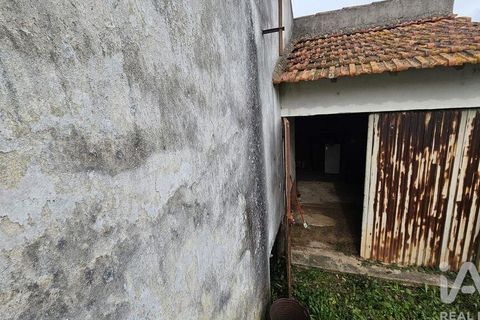 Byhus i Alcobaca, Leiria, Alcobaca - € 180.000 | Ref: 856520 - foto 7