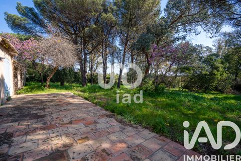 Villa i Ramatuelle, Var, Ramatuelle - € 3.200.000 | Ref: 29202 - foto 3