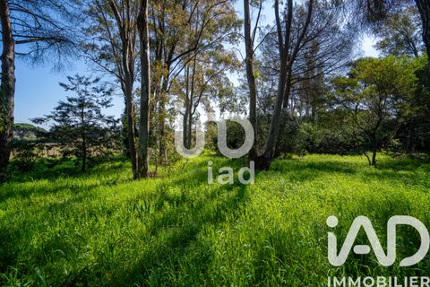 Villa i Ramatuelle, Var, Ramatuelle - € 3.200.000 | Ref: 29202 - foto 5