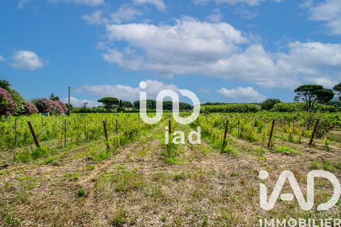 Villa i Ramatuelle, Var, Ramatuelle - € 3.200.000 | Ref: 29202 - foto 6