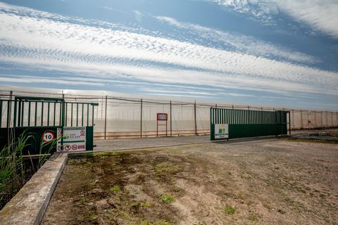 Helårsgrund i Utrera, Sevilla, Utrera - € 650.000 | Ref: 3566-01227/7688 - foto 1