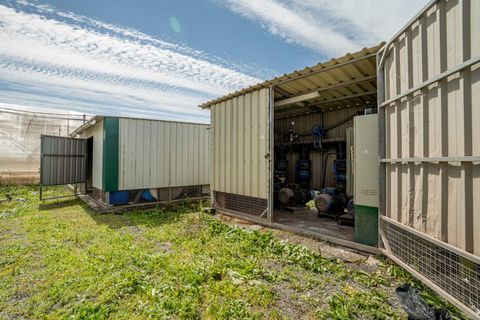 Helårsgrund i Utrera, Sevilla, Utrera - € 650.000 | Ref: 3566-01227/7688 - foto 45