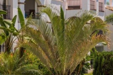 Leilighet i Marbella, Malaga, Marbella - € 700 000 | Ref: ED-B35961SR - foto 25