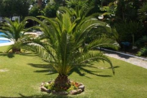 Leilighet i Marbella, Malaga, Marbella - € 604 000 | Ref: ED-B93071SR - foto 11