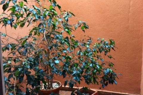 Dupleks i Marbella, Malaga, Marbella - € 460 000 | Ref: ED-B54371SR - foto 20