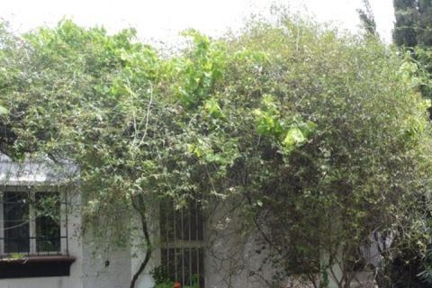 Tomt i Marbella, Malaga, Marbella - € 410 000 | Ref: ED-B38061SR - foto 16