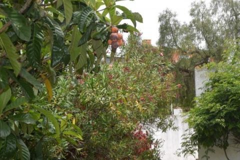 Tomt i Marbella, Malaga, Marbella - € 410 000 | Ref: ED-B38061SR - foto 20