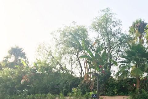 Terra a Marbella, Malaga, Marbella - € 1.000.000 | Ref: ED-B82271SR - foto 23