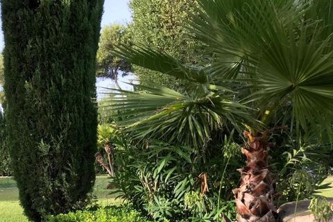 Terra a Marbella, Malaga, Marbella - € 1.000.000 | Ref: ED-B82271SR - foto 30