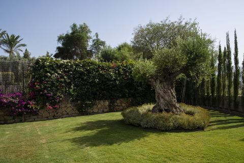 Villa a Marbella, Malaga, Marbella - € 3.200.000 | Ref: ED-BD2009 - foto 45
