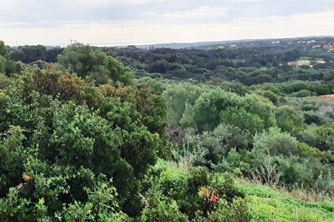 Helårsgrund i Sotogrande, Cadiz, Sotogrande - € 685.000 | Ref: ED-RR2239 - foto 8