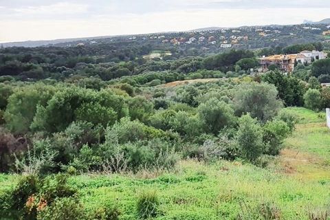 Helårsgrund i Sotogrande, Cadiz, Sotogrande - € 685.000 | Ref: ED-RR2239 - foto 16