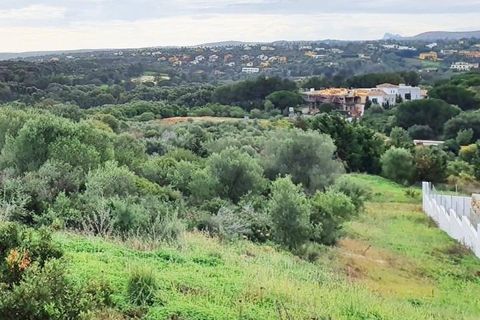 Helårsgrund i Sotogrande, Cadiz, Sotogrande - € 685.000 | Ref: ED-RR2239 - foto 22